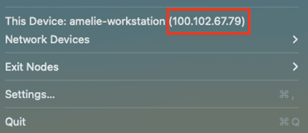 The Tailscale application menu opened from the macOS menu bar with 'This Device' and an IP address indicated with a red outline.