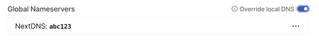 The DNS page of the admin console with the 'Global Nameservers' section. The example NextDNS profile is 'abc123'.